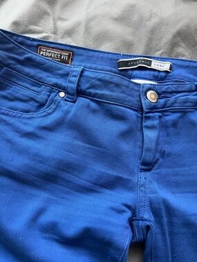 Sportmax Men Slim Royal Blue Jeans